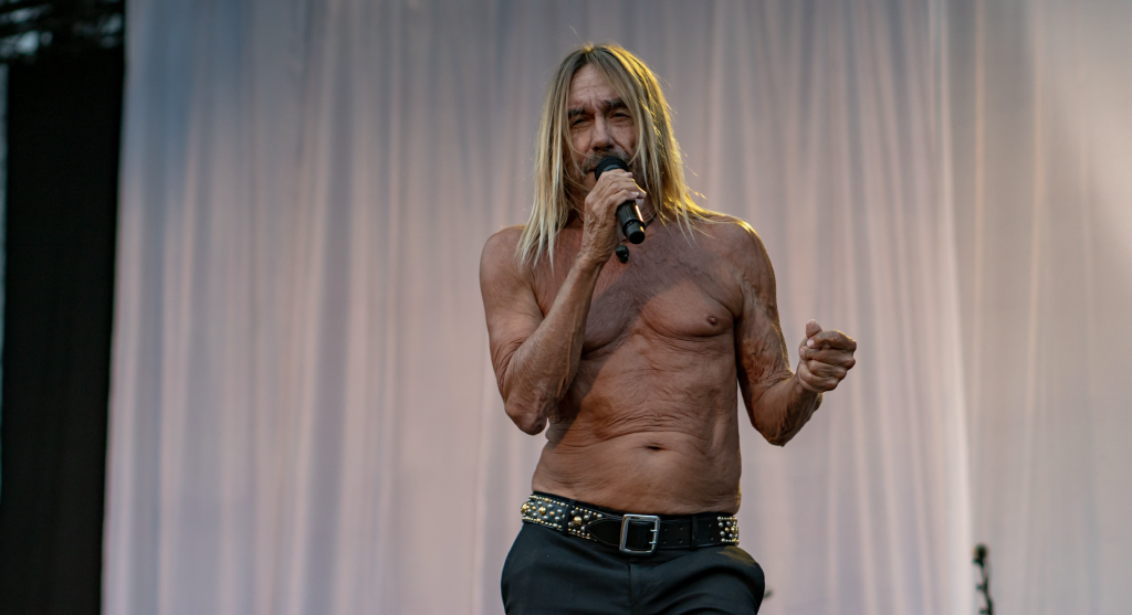 Iggy pop